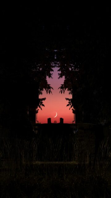 Moonlit Nighttime View Through Window