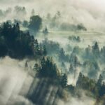 Foggy Morning Landscape Wallpaper