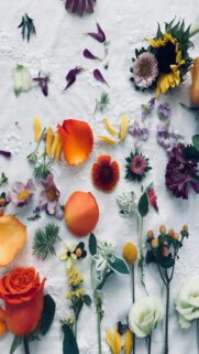 Vibrant Flower Arrangements – Mobile Wallpaper