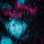 Rainy Day Mobile Wallpaper - Closeup Photo of Raindrops