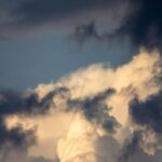 Dramatic Stormy Clouds with a Small Bird Flying - Mobile Wallpaper