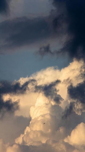Dramatic Stormy Clouds with a Small Bird Flying - Mobile Wallpaper