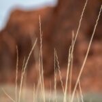 Red Rock Formation Background - Mobile Wallpaper