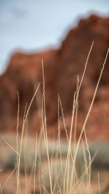 Red Rock Formation Background - Mobile Wallpaper