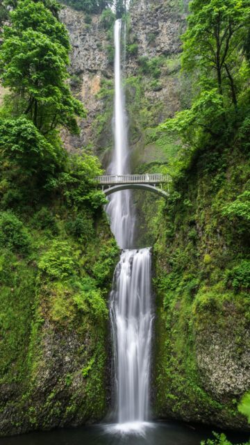 Serenene Waterfall Scene on Gray Concrete Bridge