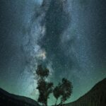 Serenity Moment: Tree Reflects in Starry Sky