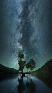 Serenity Moment: Tree Reflects in Starry Sky