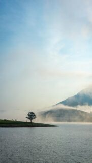 Misty Dawn on Lake Shore