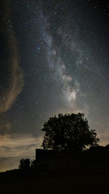 Milky Way Galaxy Over A Silhouetted Tree And Structure