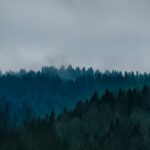 Mystical Morning Mistlands with Gray Clouds