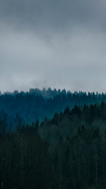 Mystical Morning Mistlands with Gray Clouds