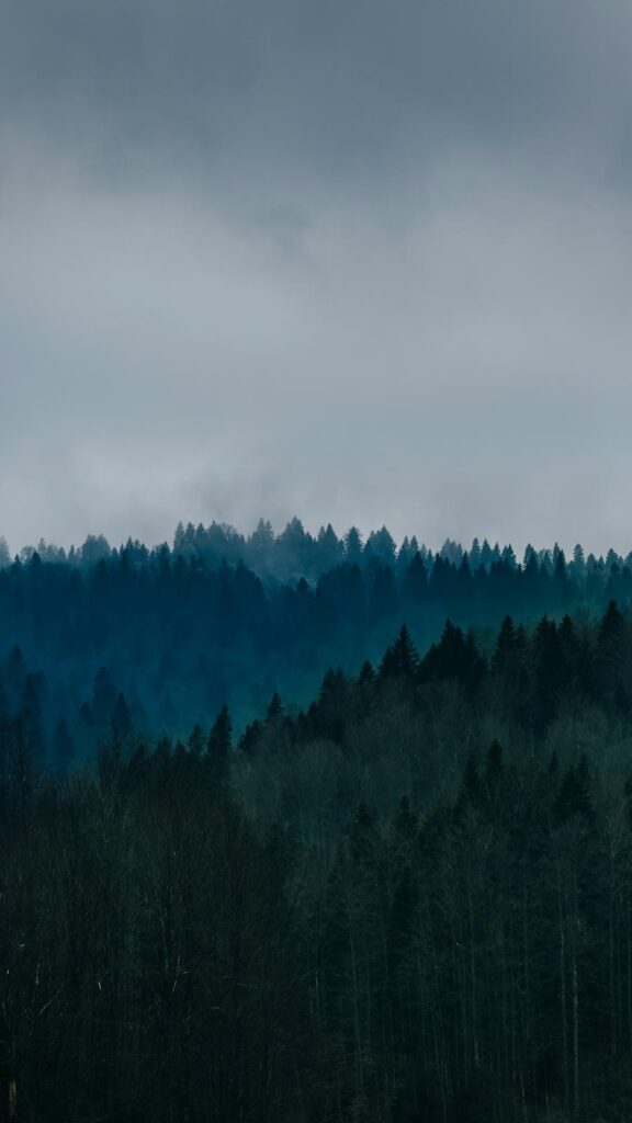Mystical Morning Mistlands with Gray Clouds