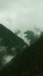 Misty Mountain Landscapes