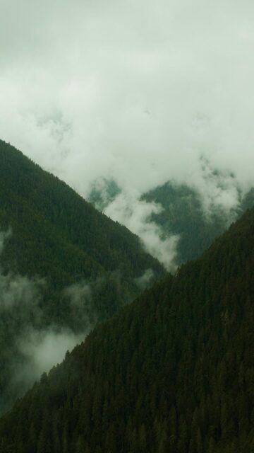 Misty Mountain Landscapes