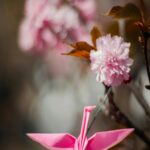 Pink Origami Crane with Cherry Blossoms