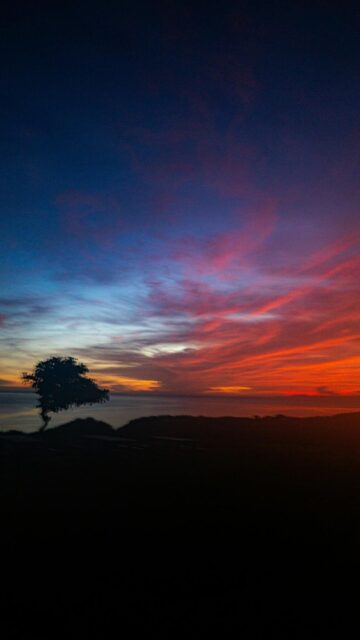 Vibrant Sunset Silhouette