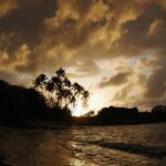 Serenene Sunset on Tropical Beach with Palm Trees