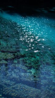 Turquoise Oasis