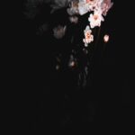 Elegant White Petal Flower on Dark Background