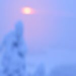 Breathtaking Winter Sunset Over Snowy Trees