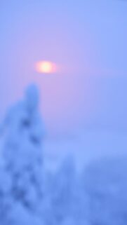 Breathtaking Winter Sunset Over Snowy Trees