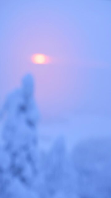 Breathtaking Winter Sunset Over Snowy Trees