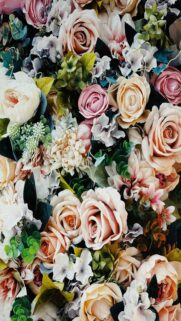 Pastel Roses Mobile Wallpaper