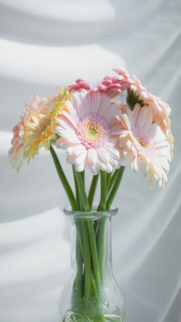 Soft Pastel Gerbera Daisies in Glass Vase