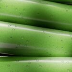 Serene Green Plant with Water Drops Mobile Wallpaper
