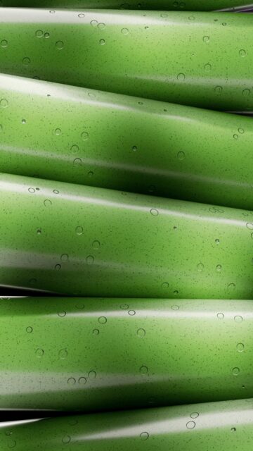Serene Green Plant with Water Drops Mobile Wallpaper