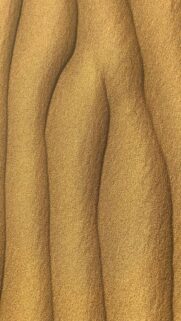 Thar Desert Wavy Sand Dune Close Up