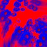 Vibrant Blue Blooms on Red Background