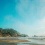 Misty Ocean Waves at Dawn