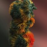 Multicolored Teddy Bear Mobile Wallpaper