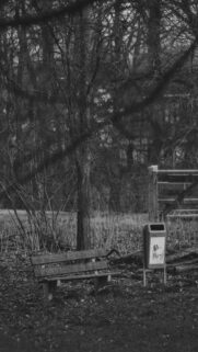 Park Bench by Trees Wallpaper