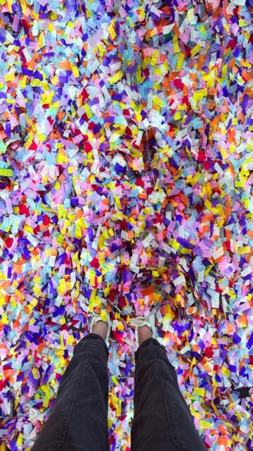 Vibrant Celebration