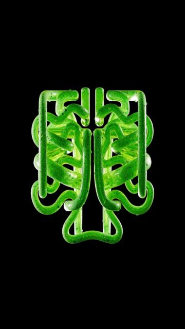 Green Substance on Black Background Wallpaper