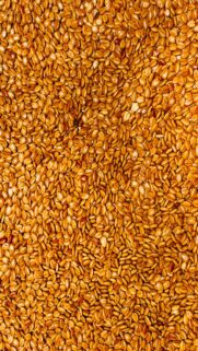 Golden Shower Tree Seeds Wallpaper