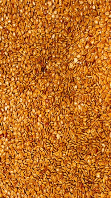 Golden Shower Tree Seeds Wallpaper