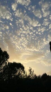 Hands Up Silhouette