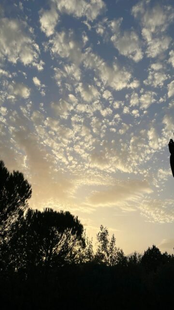 Hands Up Silhouette