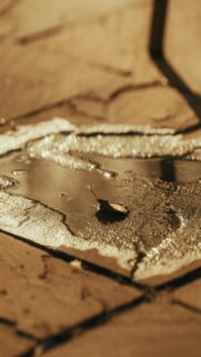 Nature’s Serenity: A Single Leaf Floats on Stone