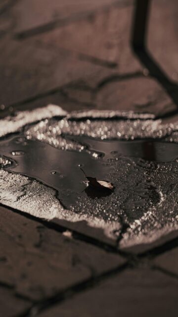 Single Leaf Puddle Dark Pavement Mobile Wallpaper