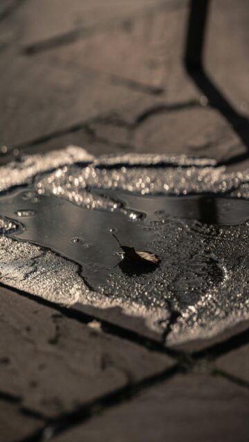 Nature's Serenity - A Single Leaf in Puddle
