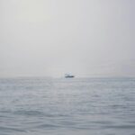 Calm Ocean Morning Mobile Wallpaper