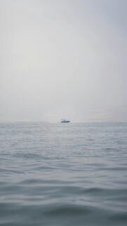 Calm Ocean Morning Mobile Wallpaper