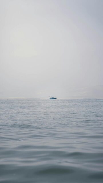 Calm Ocean Morning Mobile Wallpaper