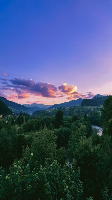 Serene Valley Landscape Wallpaper