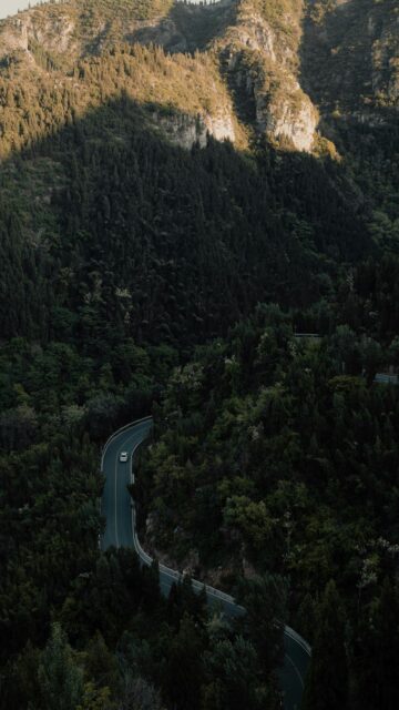 winding-road-through-sun-dappled-forest-mobile-wallpaper
