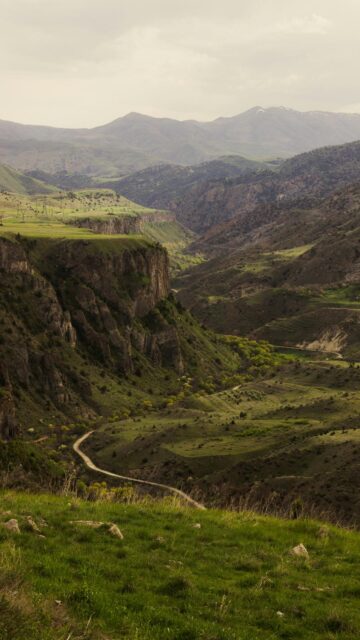 serene-lush-green-valley-mobile-wallpaper